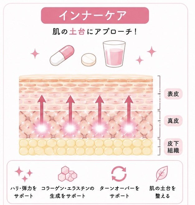 kyoruksas's tweet photo. インナーケアとスキンケアって何が違うの？って思って調べてみた✍️
どっちかじゃなくて両方大事らしい。。頑張る🥹 https://t.co/6VSDp2Kl5e
