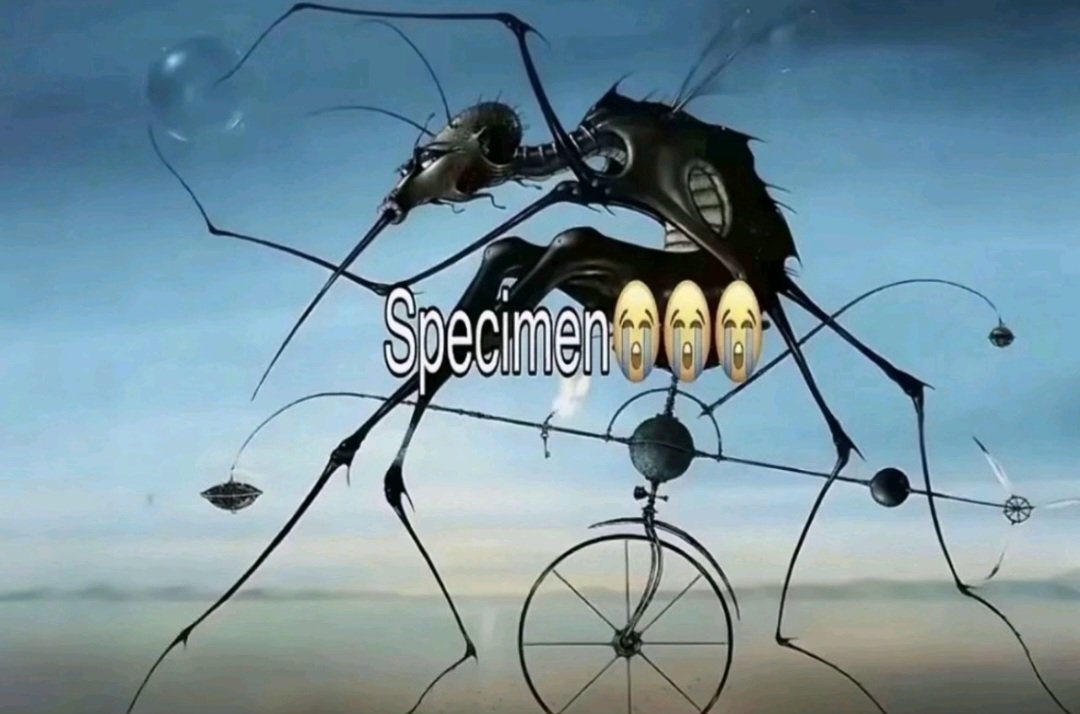 averageeJho's tweet photo. Niggas getting upset when niggas say a word niggas can reclaim https://t.co/aHKbIs3KJF