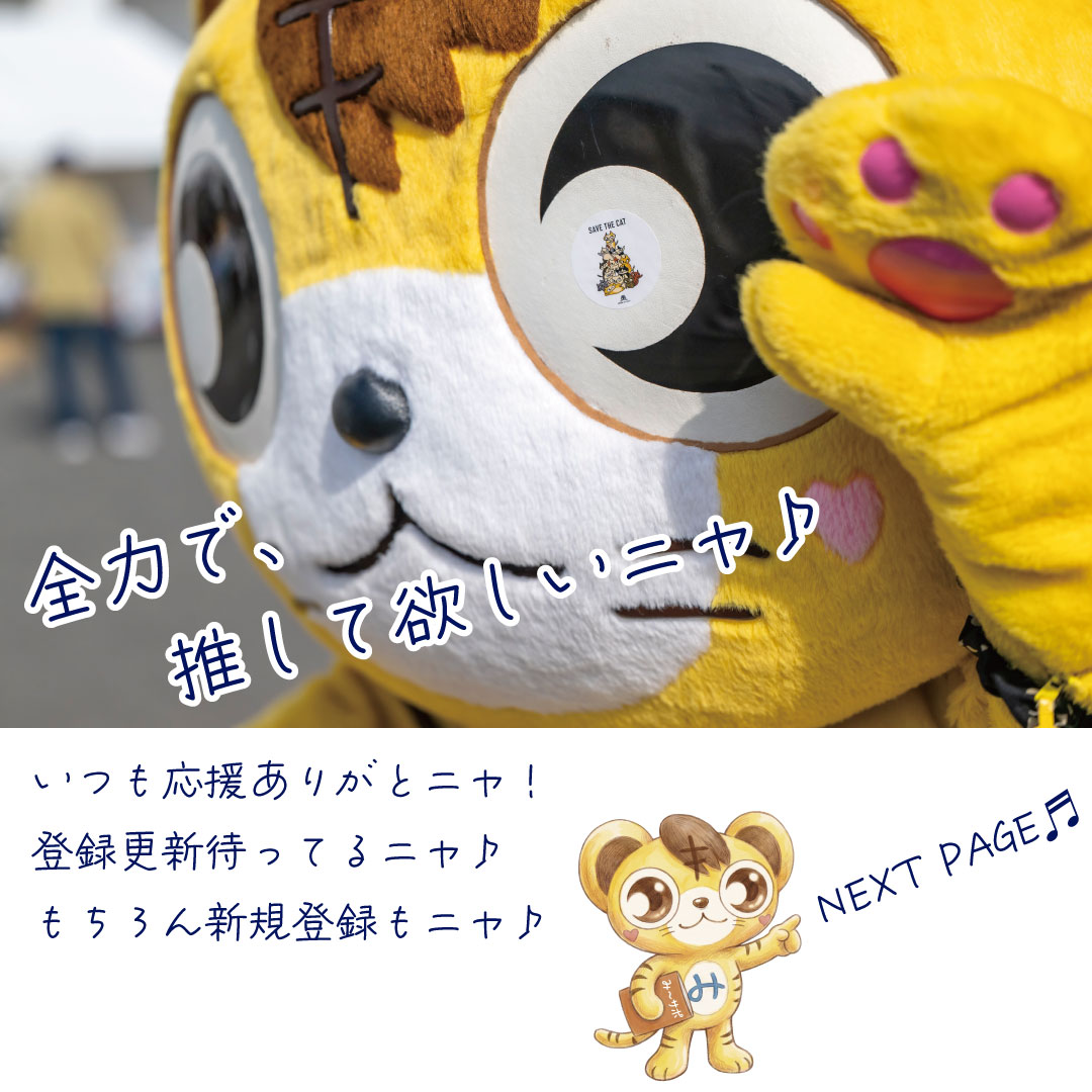 mikawamaru's tweet photo. 【募集受付中】31日[月]まで、有料サポーターの申込みを受け付けるニャ♪（≧Ｖ≦＊）/

いつも温かい応援を本当にありがとうニャ！ 
◆有料サポーター（年会費：1万円）◆
　登録・更新を待ってるニャ！ 

◆サポーター（無料）◆
　まずはここから応援！
　登録は【随時受付中】ニャ！ https://t.co/QLQoehPp4W