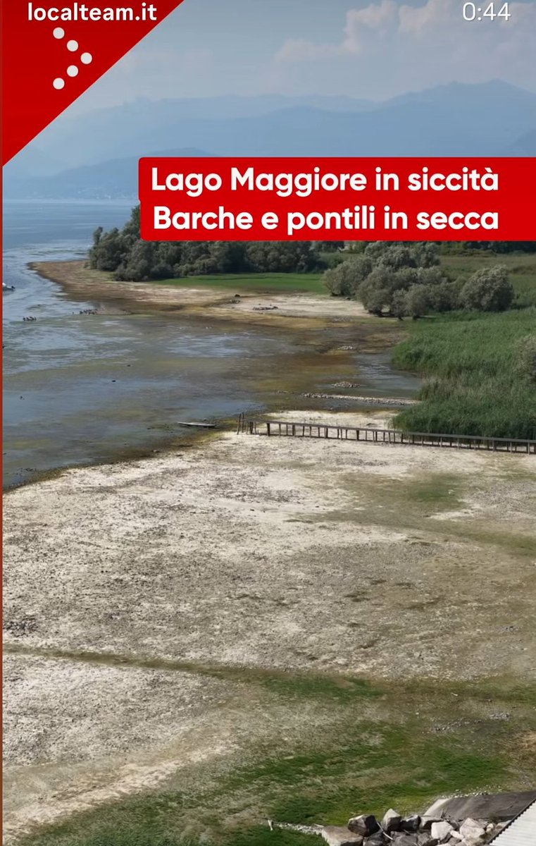 Nicola_Bressi's tweet photo. La SICCITÀ da ONDATE DI CALORE è un mostro che si autoalimenta
Il caldo non solo accresce l'evaporazione: aumenta la necessità d'acqua di tutti i viventi
I medici consigliano infatti di bere e fare docce
Ma anche piante e animali (selvatici e allevati) aumentano i bisogni d'acqua https://t.co/ttTBudFsex