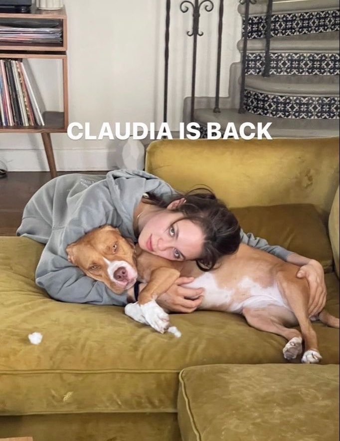 thatsknotdia's tweet photo. Claudia Is Back🐾🎀✨
https://t.co/D9Q9g3TcOf
#k9sex #zoophilia #knotting #dogknotting #zoospride #zoophile #VMAs #HAECHAN #Sinner #k9clips #contents #해찬이의_TASTE_맛보기 #benbvolliefde #beastiality #Knotts #GardenofEden #GoE https://t.co/cpkq8UmvO4