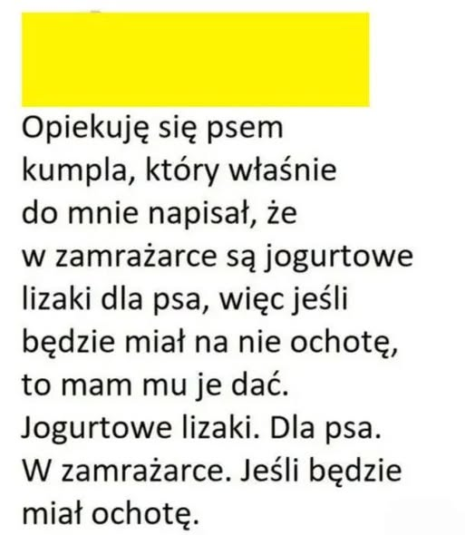 BrunoJasienski tweet picture