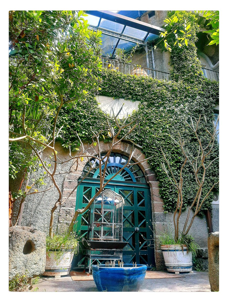 Anna49037's tweet photo. Giardini La Mortella - Ischia https://t.co/gVTzchdYdR