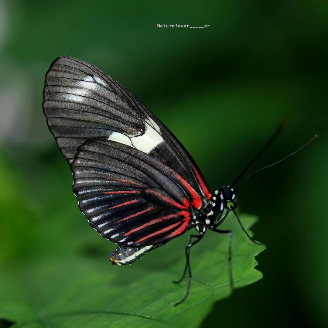 naturelovec74r's tweet photo. https://t.co/1Ct0KhRwYs