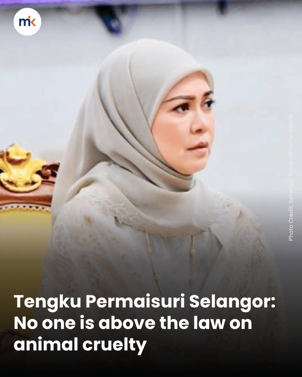 malaysiakini's tweet photo. Tengku Permaisuri Selangor Tengku Permaisuri Norashikin has warned that no one, including enforcement personnel, is above investigation or legal action for acts of animal cruelty.

She said this applies equally to individuals, organisations, companies, government agencies, and authorities.

Full story: https://t.co/D9xBtOnlgB