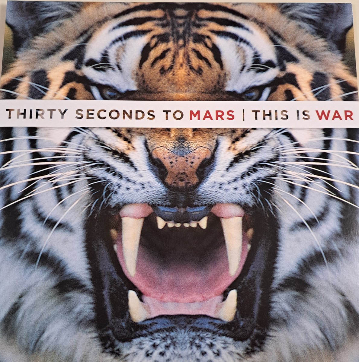 lala91217295's tweet photo. Every time I listen to This Is War, it feels like an epic story reaching my soul. What these two brothers weave together is more than music.
#30STM https://t.co/xIG61zR7ky