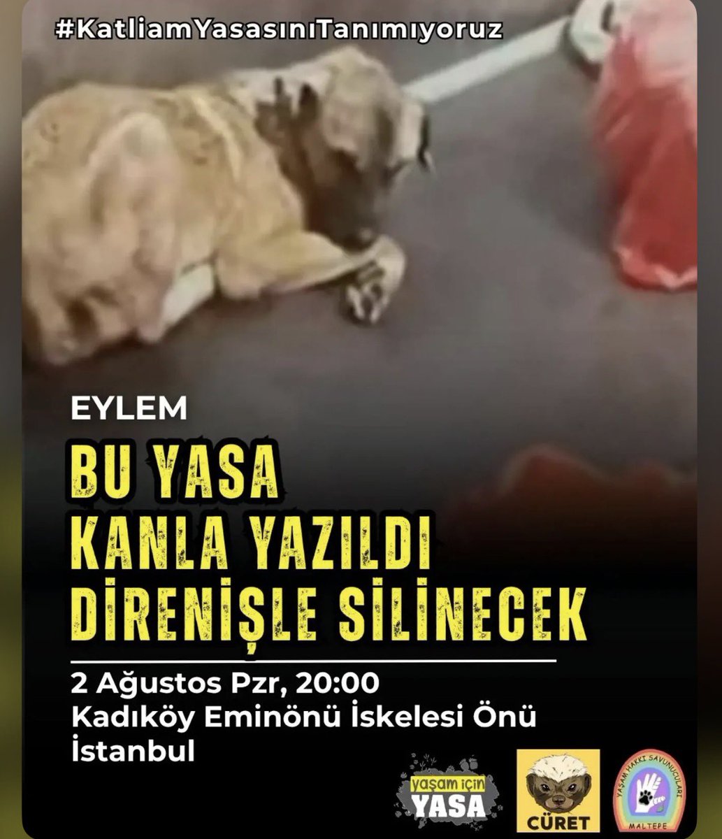 bhhtoplulugu's tweet photo. Katliam Yasası’nın kabul edilişinin 2. yılı nedeniyle 2 Ağustos Pazar günü yurt çapında protesto eylemleri yapılacak. 

#KatliamYasasınıTanımıyoruz #7527İptalEdilsin https://t.co/bBSUkrzKAV