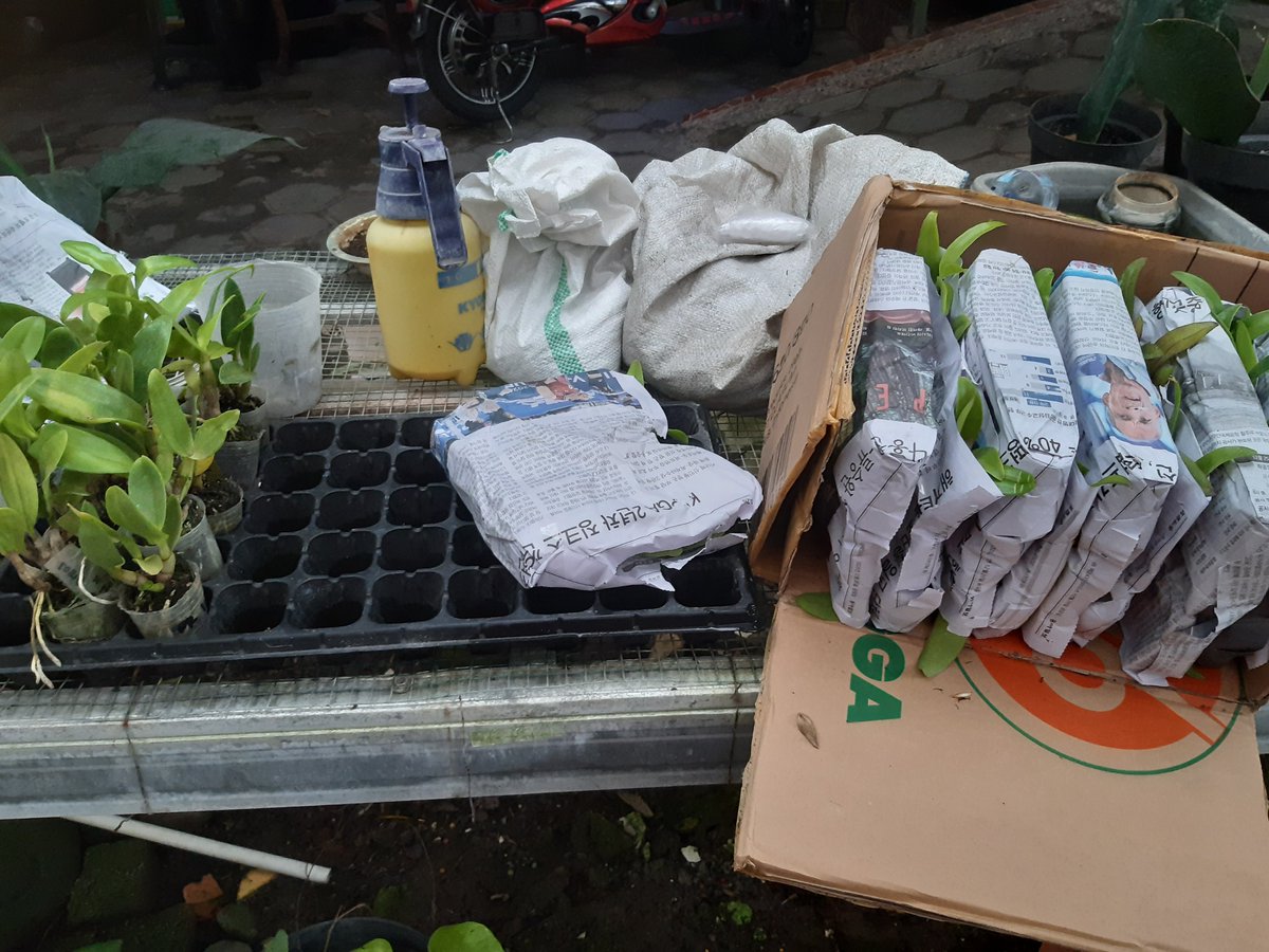 drhasa_25's tweet photo. Kedatangan anggota keluarga baru

Siap merawat dan diberi pukpuk https://t.co/43ltrIDED4