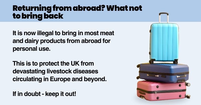 APHAgovuk's tweet photo. Help protect UK farmers from the devastating threat of African swine fever (ASF) and foot and mouth disease (FMD) by not bringing back meat 🥩 or dairy 🥛 products from the EU into Great Britain in your personal luggage.
🔗 https://t.co/0PxOxFI1gZ
#travel https://t.co/CSzLYUVfFd