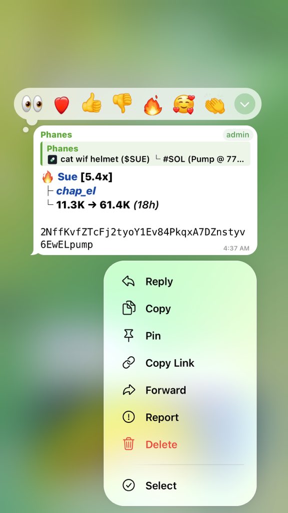 ch__apel's tweet photo. We’re up 5.4x on solana:FfEiAUtBPaA3NYahaifSx7rmvuTeH3z5DSuVX337vMxB https://t.co/cLZNceH8aJ