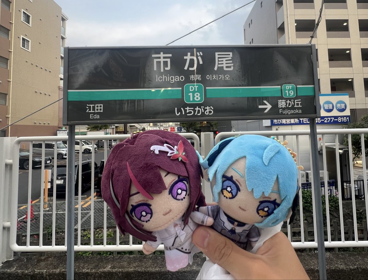 Yokosuka0804's tweet photo. そろそろカメラ買おうかな… https://t.co/S4iLwQVReX