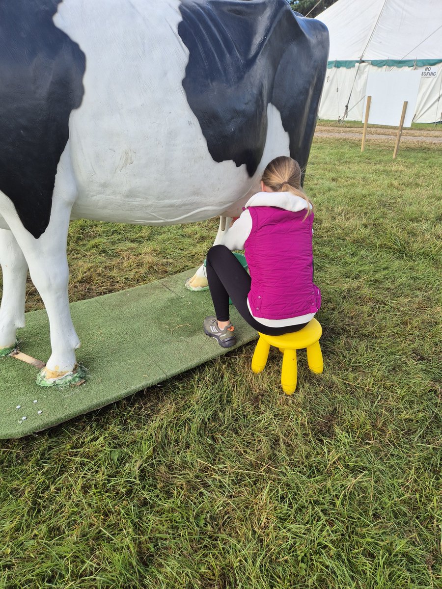 hodder_showcow's tweet photo. All set up at @garstangshow brought  fred  the ted  @MindBodySoleUK  with me , got pygmy goats for neighbours  😀 https://t.co/Qufdotndqk
