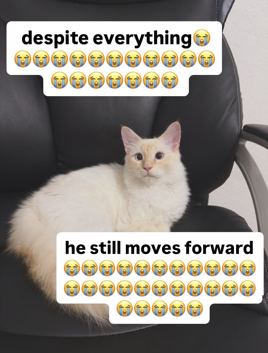 jowie40's tweet photo. https://t.co/JkPiVcOrEt
