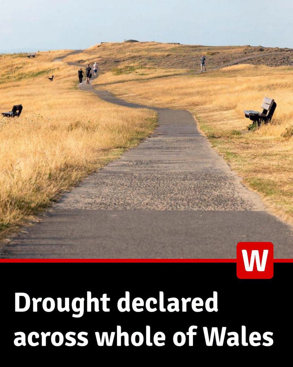 TheProjectUnity's tweet photo. The whole of Wales has been declared to be in a state of drought.

Which is just insane to me.

I grew up in Wales, nothing but green countryside, and why? Because it rains all the time.

This isn't normal. https://t.co/IJgQ1utayh