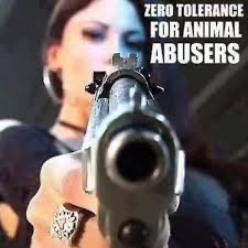 celt_mc44055's tweet photo. @RositaDaz48 Treat people and animals the same as you’d like to be treaded yourself karma is always watching 👍 https://t.co/PAvyzm0clO