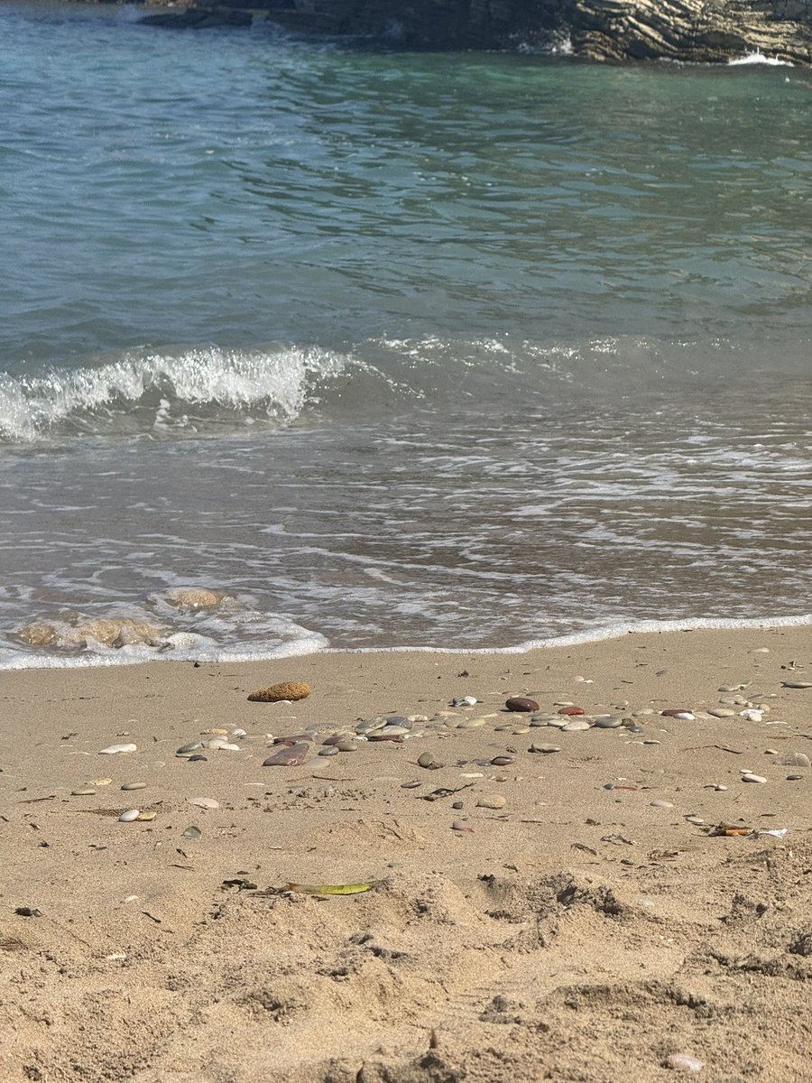 VentagliP's tweet photo. Buon #SabatoDEstate #1agosto

📸mia ~ Sicilia 

#TuttoQuestoSaDiCasa (indirettamente)

#ConUnMareDAmare su #VentagliDiParole https://t.co/gJpIPfeTAO