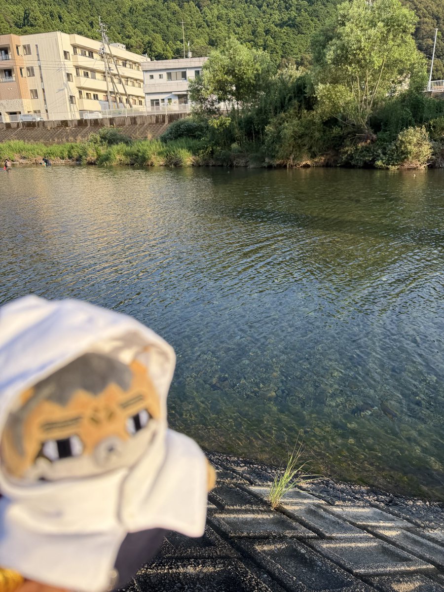 Chingeman's tweet photo. 川遊び
服が濡れるのはイヤ！なお顔☹️ https://t.co/XplouZxO2V