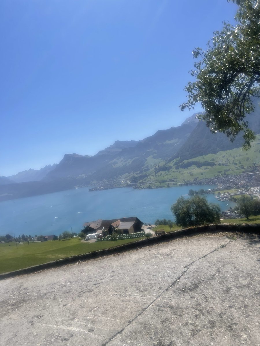 sheen_SZ's tweet photo. @ArshadA97127294 This is real photo of Lake Brienz. https://t.co/PB8GH6QOYJ