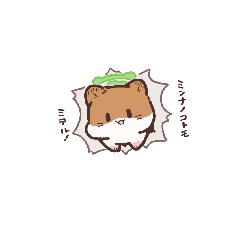🐹ﾊﾞﾘﾊﾞﾘｰ