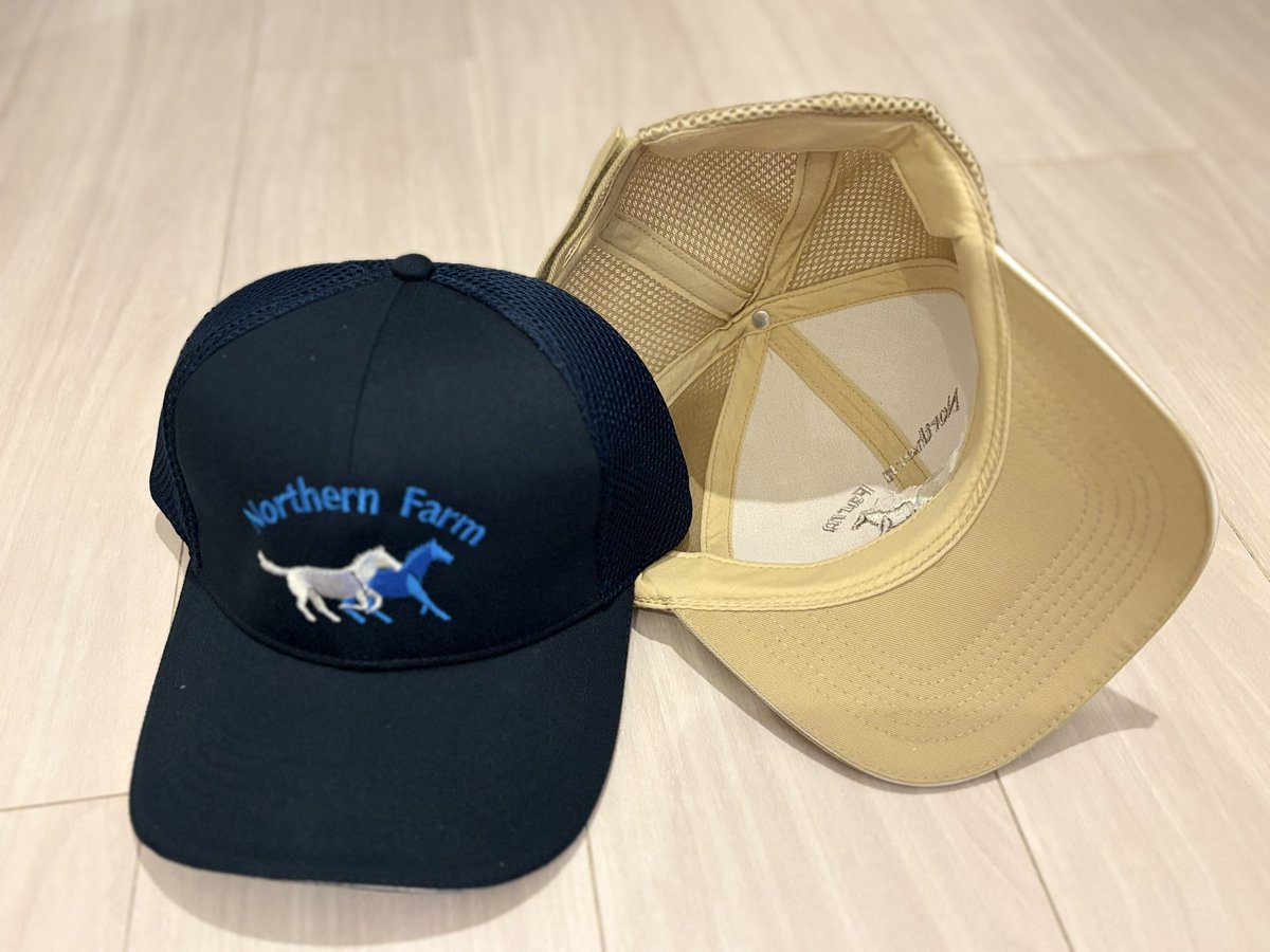 TNRacing_keiba's tweet photo. 【ノーザンファーム　オリジナルメッシュキャップ🧢】をプレゼントします！！
ベージュとネイビー各１個、計2名様に🎁
どちらの色になるかはお楽しみで😆

＜応募方法＞
（１）アカウントをフォロー
（２）本投稿をリポスト
〆切は2026年8月15日23:59
※当選者にはDMでご連絡します🎊
⚠️プレゼントの発送先は日本国内に限らせていただきます/Domestic shipping only