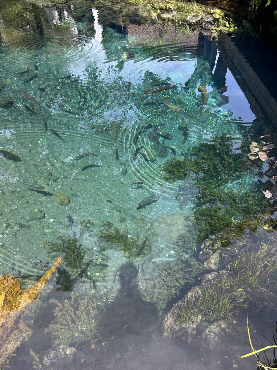 umakoya's tweet photo. 家族旅行で箱根大涌谷→山中湖グランピング→忍野八海へ。車の運転もあって緊張がなかなか解けず、帰宅してビール飲んでようやくリラックス。 https://t.co/Tu5ssMUumk