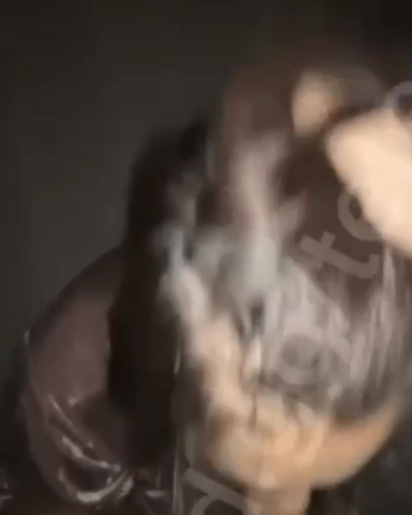 tkmec2's tweet photo. La video de mymy de la team nasdas qui suce chikanos mouna va pas etre contente disponible ici me remerciez pas⬇️ https://t.co/LT8FG6w7g1