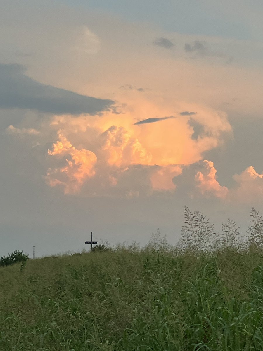 connectnextavel's tweet photo. 花火撮影待機中…
車もバイクも通行禁止エリアなのに、さっそうとバイカス現れてやっぱりバイカーってクズ🙄 https://t.co/xghpoY1SVm