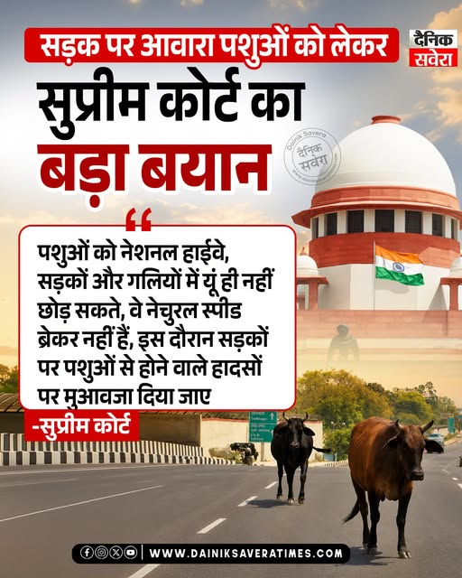 DainikSavera_tv's tweet photo. सड़क पर आवारा पशुओं को लेकर
सुप्रीम कोर्ट का बड़ा बयान
#SupremeCourt #StrayCattle #StrayAnimals #RoadSafety #AnimalWelfare #IndiaNews #PublicSafety #BreakingNews #LatestNews #HindiNews #NewsUpdate https://t.co/sDSfH6lP0v