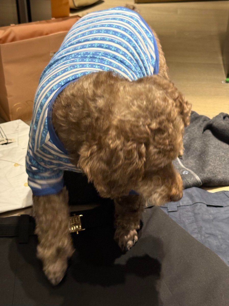Mo0923v075's tweet photo. I bought a few things while shopping today, and when I got back, I spread them out on the floor to try them on. They felt quite comfortable. It'll be nice to spend the weekend slowly getting ready. Pretty relaxing!😌 https://t.co/pgcFoKrvOx