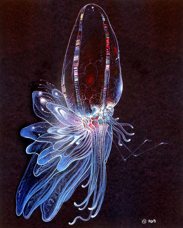 FedeItaliano76's tweet photo. Concept art by Moebius for James Cameron's 'The Abyss' (1989) https://t.co/l3Y4Lva3qX