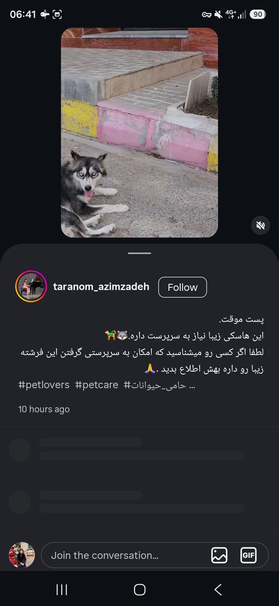 Mona67914473's tweet photo. دوستان این #سگ #هاسکی #جاجرود #جاده #سد_لتیان رهاش کردن و مدتی ظاهرا اونجا بوده و الان وضعش بدتر شده و عملا پوست و استخون شده چون میگن هفته ای یه بار تونستن بهش غذا بدن،لطفا اگه خودتون یا کسی رو میشناسین که بتونه به داد این طفلی برسه به من بگین من با این پیج هماهنگ میکنم🥺🙏🏻🙏🏻🙏🏻 https://t.co/LZmGqBIWBI