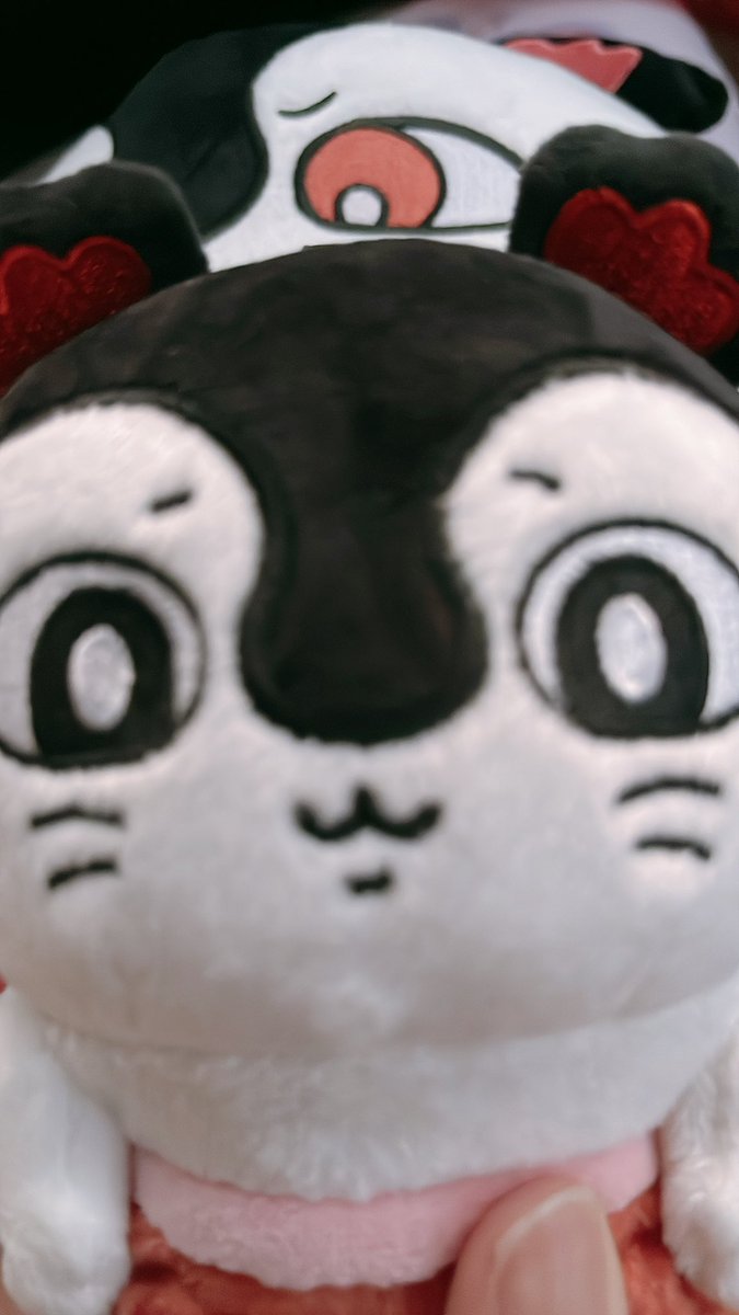 MokaKaedeMaple's tweet photo. 左がクレーンゲームで釣り上げられてぶんぶんされているところを可愛い〜！と囃し立てられた上捕まってご不満なセイレーンさん
右が映画館でお迎えされたと思ったらニンゲンがクレーンゲームで苦戦し荷物で腕を痛める姿に憐れみの目を向けるセイレーンちゃん https://t.co/UdgtEx9btB