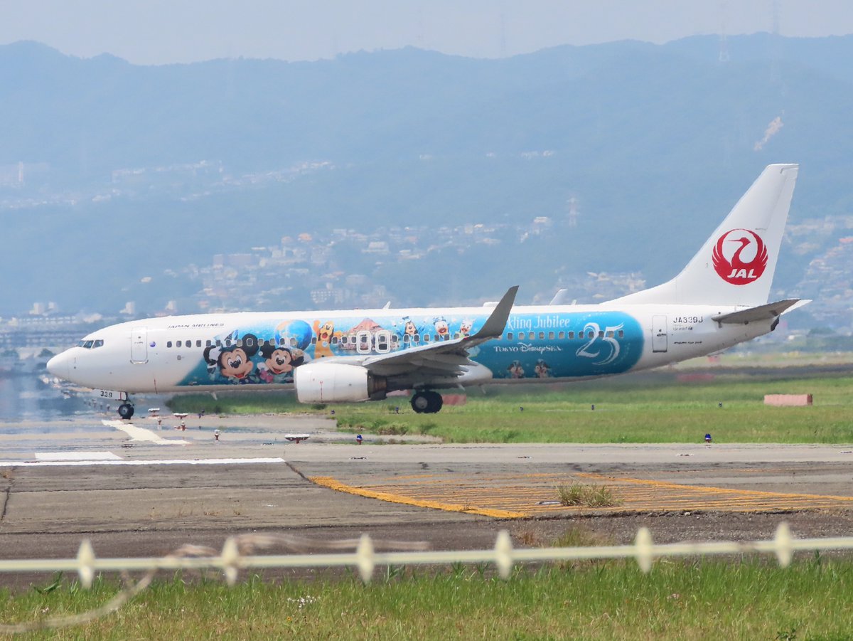 8/1 JAL Boeing737-846(JA339J) ｢JAL Jubilee Express｣ JL2331 隠岐行