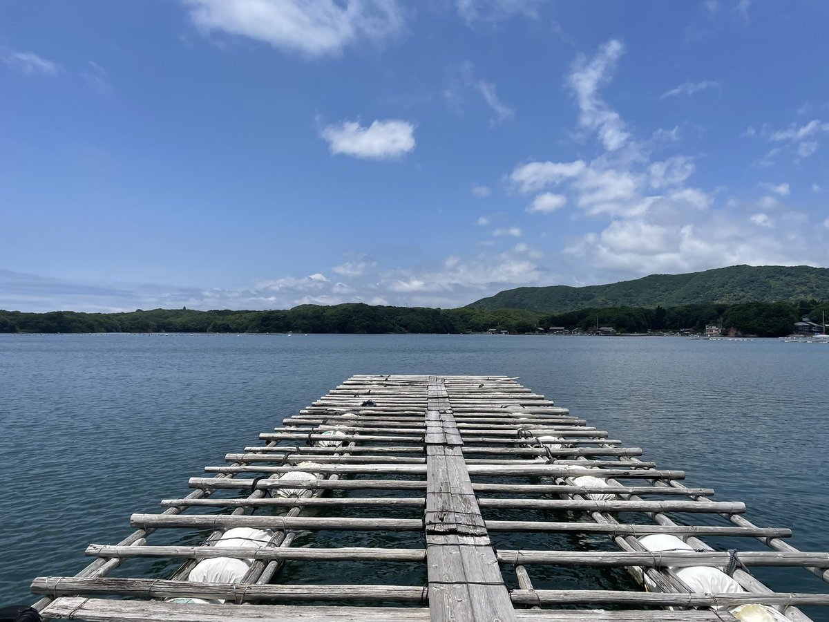 UMILABO_'s tweet photo. うみらぼ2棟目、海を見ながらキャンプできるのでは…？ https://t.co/JCOpGqCs0V