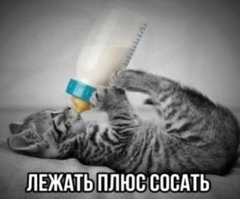Digitalcel663's tweet photo. @KostyaClassique https://t.co/G971t5UpK1