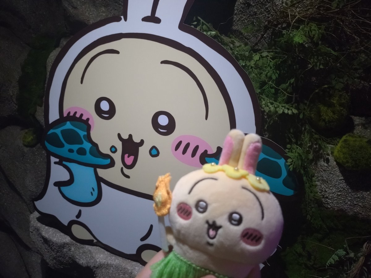 shioKMYD's tweet photo. ちいかわおばけの森行けた ( ᜊº-° )ᜊ https://t.co/t0IFMDCV9l