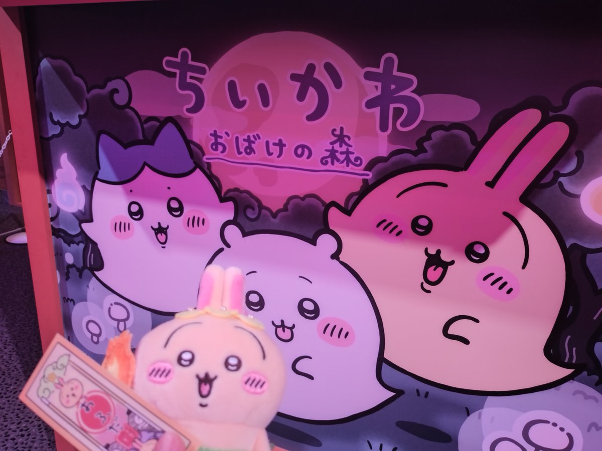 shioKMYD's tweet photo. かわいいっ(៸៸>⩊<៸៸｀) https://t.co/XqQfljjkL9
