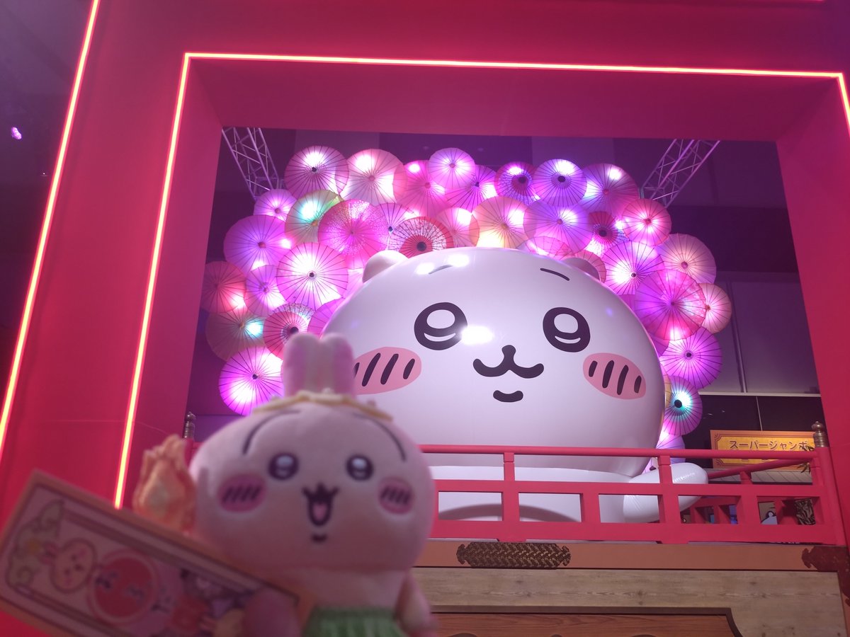 shioKMYD's tweet photo. かわいいっ(៸៸>⩊<៸៸｀) https://t.co/XqQfljjkL9
