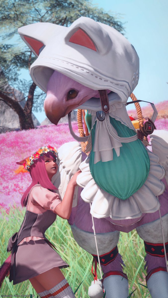 tsun409's tweet photo. 🌷🌼🍀 https://t.co/pblvBHpRUi