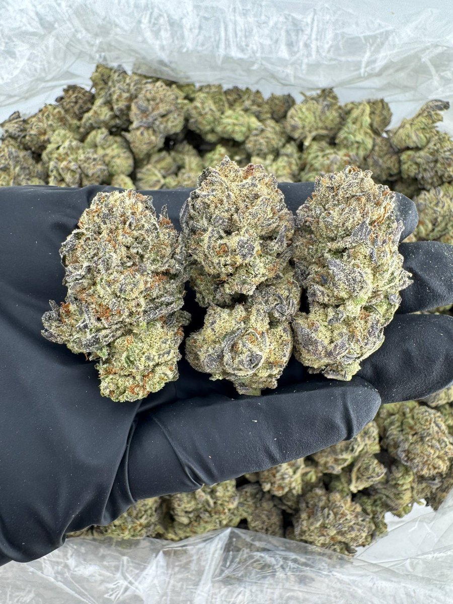 StonerCoaster 🍭 tweet media