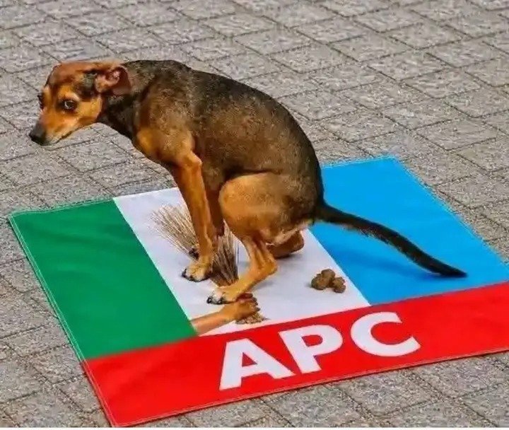 mrfrancis00's tweet photo. @PeterObi It will never be well with APC and there supporters https://t.co/oczxPXS2LK