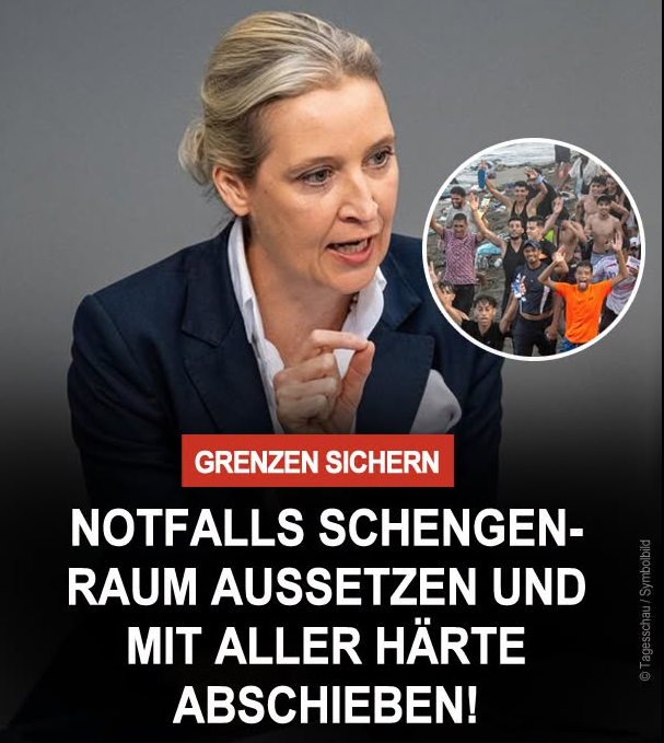 DirtyHarry_tv's tweet photo. Alice  Weidel hat angesichts der Lage in der spanischen Exklave Ceuta  strengere Maßnahmen an den europäischen Grenzen gefordert. In ihrem  Beitrag verwies sie auf Berichte über rund 50.000 irreguläre  Grenzübertritte. Die AfD-Vorsitzende vermutete, dass viele der Migranten  nach Deutschland weiterreisen wollten. 

Zugleich  erklärte sie, der Andrang auf die Grenze halte an, und sprach von  Verwüstungen in Ceuta. Deutschland müsse sich deshalb vorbereiten, seine  Grenzen sichern und Abweisungen konsequent durchsetzen. Notfalls solle  nach Weidels Forderung auch das Schengen-System vorübergehend ausgesetzt  werden.

Quelle: Alice Weidel auf Facebook, 31.07.2026.