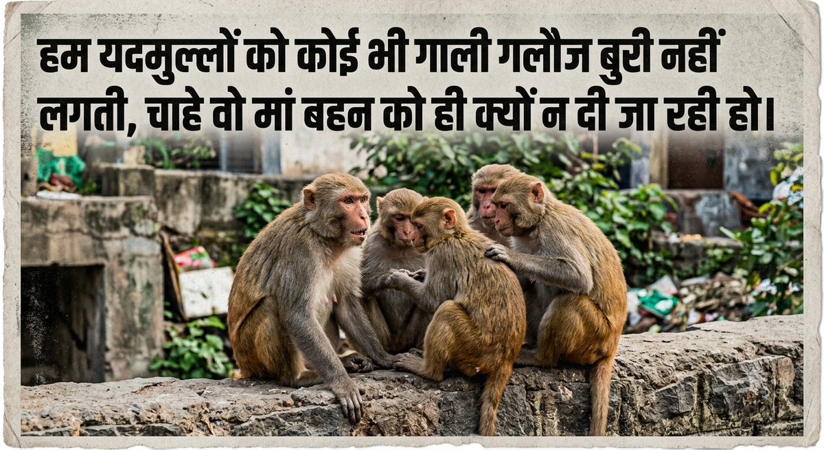 pkslibra's tweet photo. @luffyspeaking @surya_samajwadi https://t.co/htoDXkE7ff