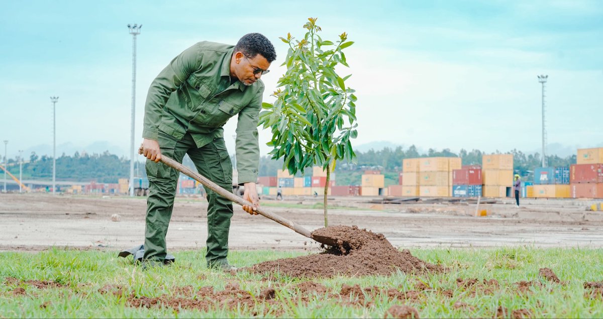 TakeleUma's tweet photo. The antecedent of the green legacy initiative launched eight years ago by our Prime Minister @AbiyAhmedAli has now turned into a single-day national plantation of over 800 million trees on August 3, 2026.

At the run-up to this national planting day, Ethio-Djibouti Railway staff are carrying out recurring tree planting across the railway corridor to keep the momentum going.