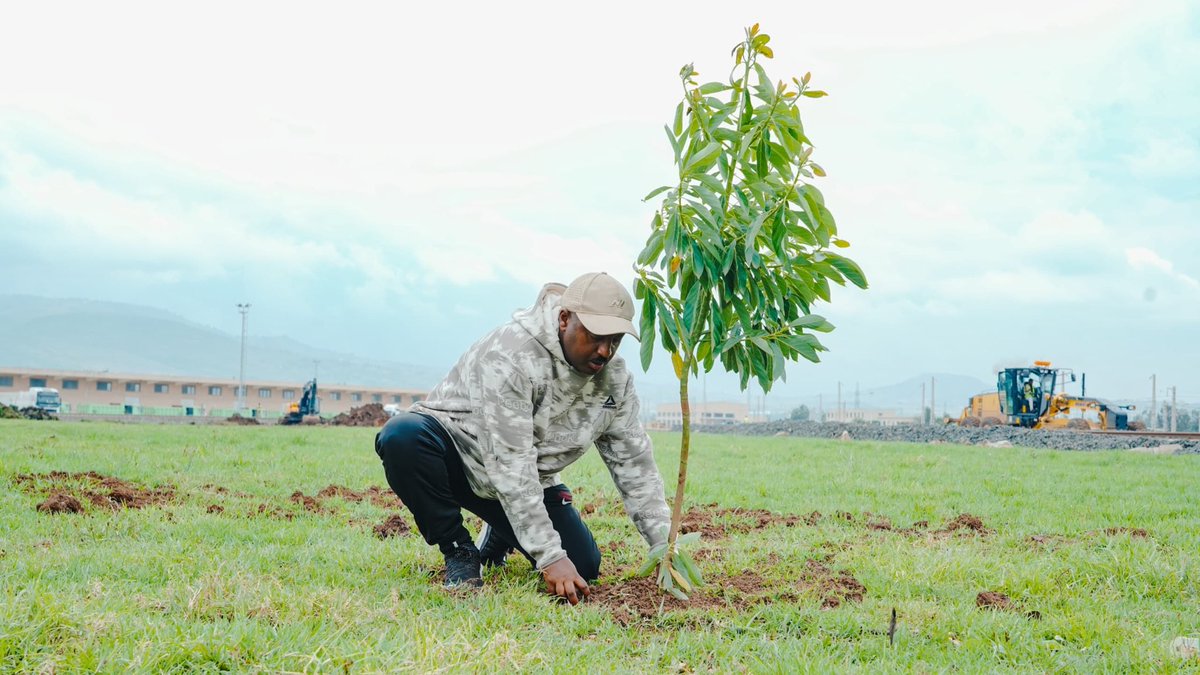 TakeleUma's tweet photo. The antecedent of the green legacy initiative launched eight years ago by our Prime Minister @AbiyAhmedAli has now turned into a single-day national plantation of over 800 million trees on August 3, 2026.

At the run-up to this national planting day, Ethio-Djibouti Railway staff are carrying out recurring tree planting across the railway corridor to keep the momentum going.