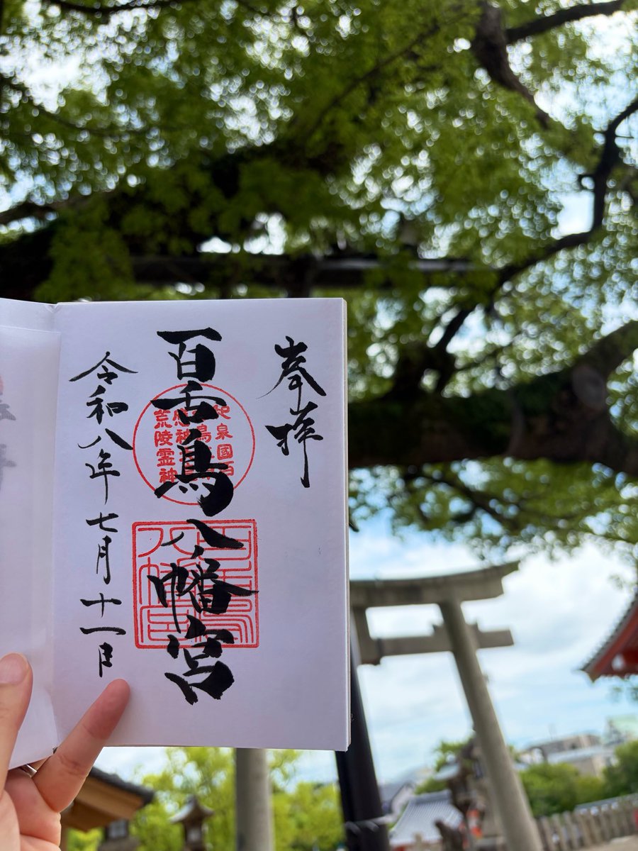 happapa42's tweet photo. 大阪府堺市の百舌鳥八幡宮⛩️
厄除けと出世開運のご利益があるそうです
境内には樹齢約800年の楠木があり、木の下は涼しく感じました
御朱印は直書きでいただきました https://t.co/wKG6KxaGkP