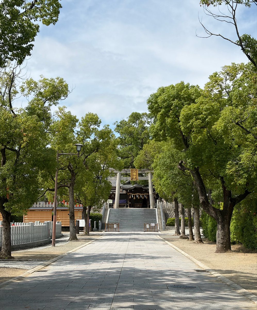 happapa42's tweet photo. 大阪府堺市の百舌鳥八幡宮⛩️
厄除けと出世開運のご利益があるそうです
境内には樹齢約800年の楠木があり、木の下は涼しく感じました
御朱印は直書きでいただきました https://t.co/wKG6KxaGkP
