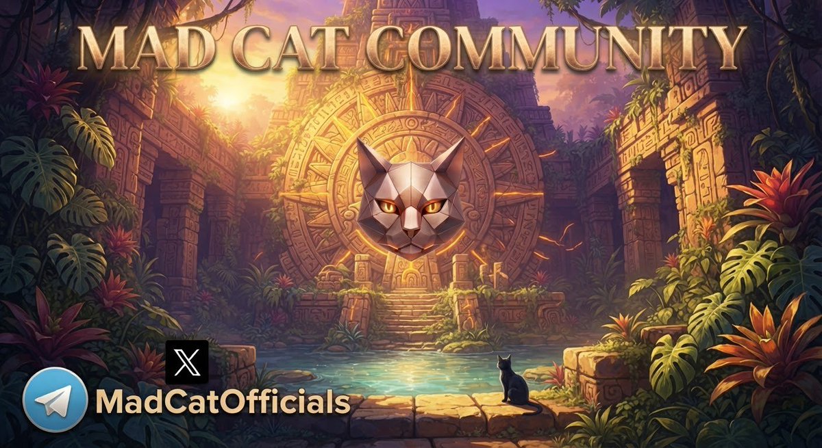 MADCATOFFICIALS's tweet photo. New month, new momentum. August is here, and the Mad Cat Community is locking in. 🐾

Over the past few days, we’ve been working quietly behind the scenes to sharpen our vision and layout the groundwork for what’s next. No fluff, just pure building and unyielding focus.

The strategy is clear, the foundation is solid, and the path ahead belongs to those who stay consistent. Are you ready for what we're unleashing this month?

Drop a 🐾 if you're riding with us from day one. Let's make August count. 🚀