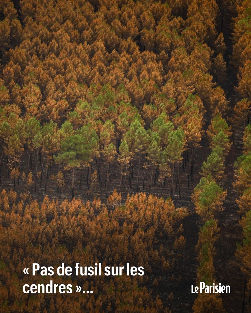 Les textes en vigueur permettent l’adaptation de la pratique de la ...