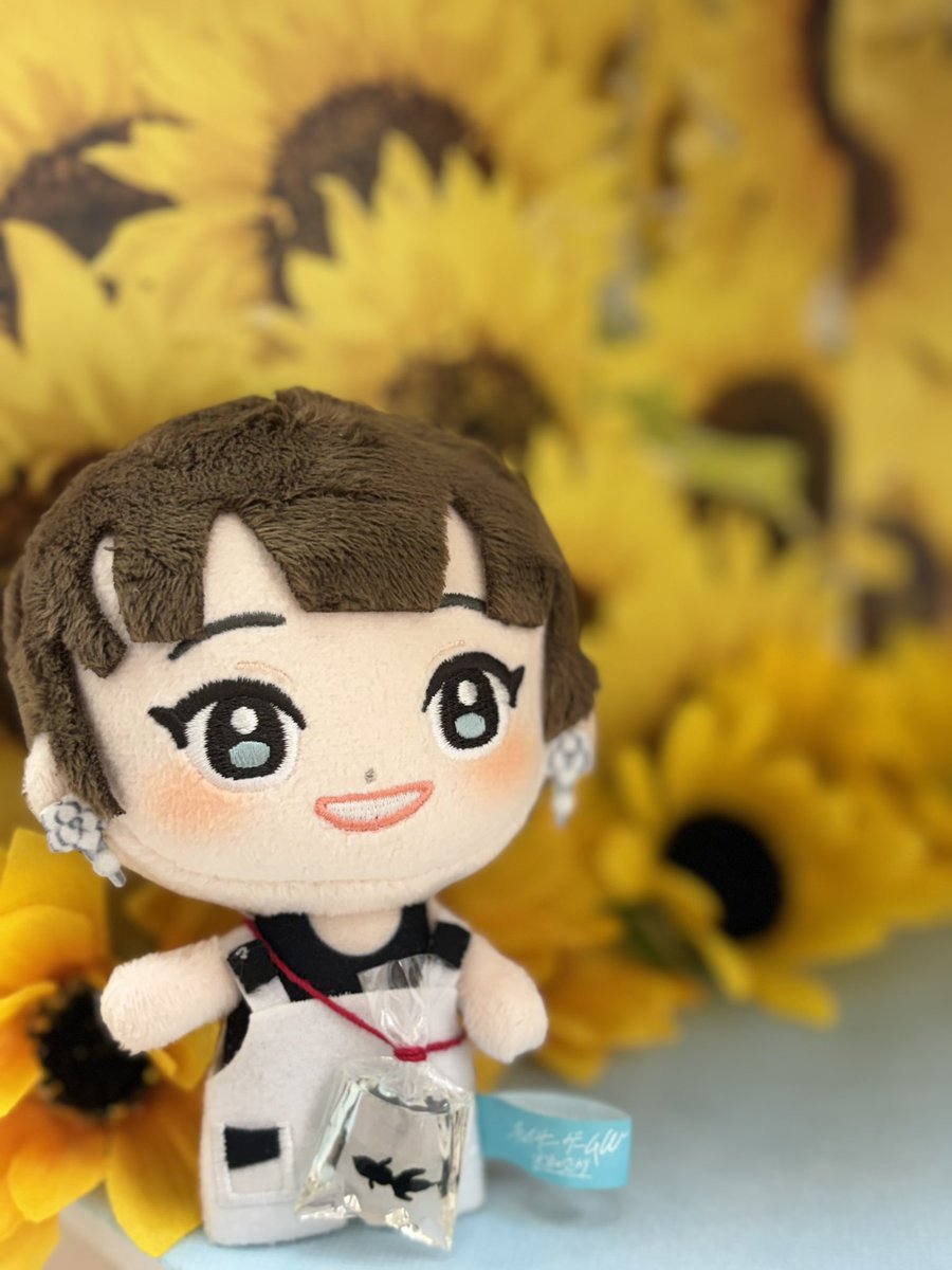 survey_29's tweet photo. ぬい活が止まりませんﾀｽｹﾃｸﾀﾞｻｲ https://t.co/O5R3rNzRGV